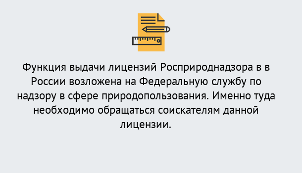 Почему нужно обратиться к нам? Реж Лицензия Росприроднадзора. Под ключ! в Реж