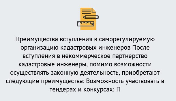 Почему нужно обратиться к нам? Реж Что дает допуск СРО кадастровых инженеров?