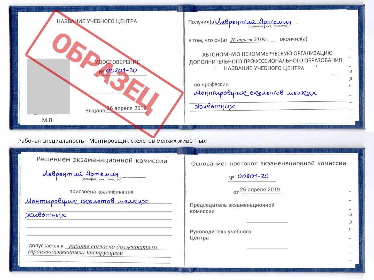 Монтировщик скелетов мелких животных Реж