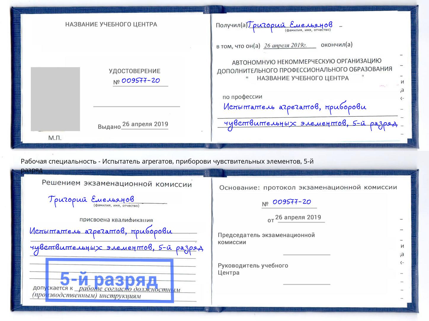 корочка 5-й разряд Испытатель агрегатов, приборови чувствительных элементов Реж